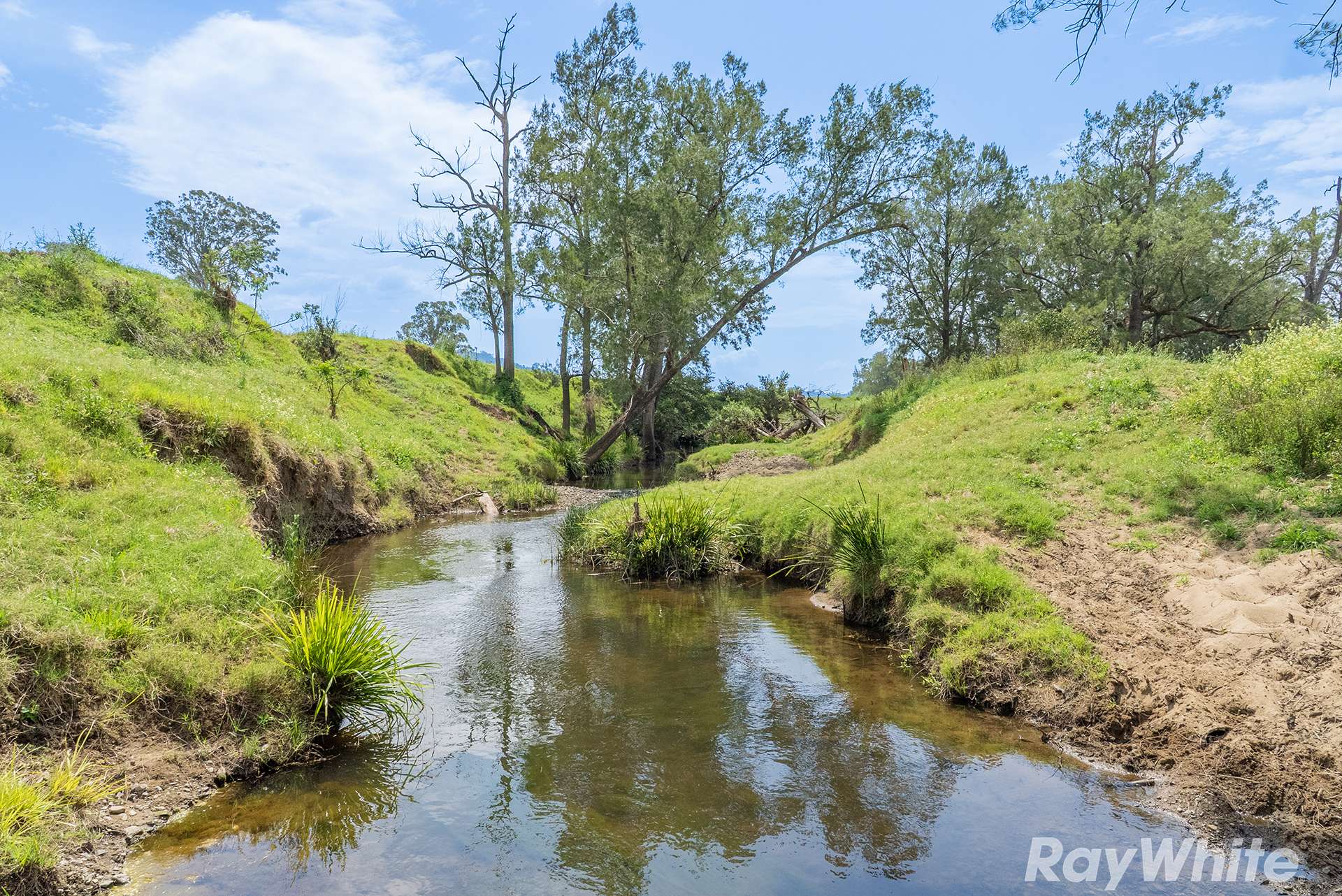 88 Turnbulls Road, East Gresford For Sale by Farmbuy.com - image 1