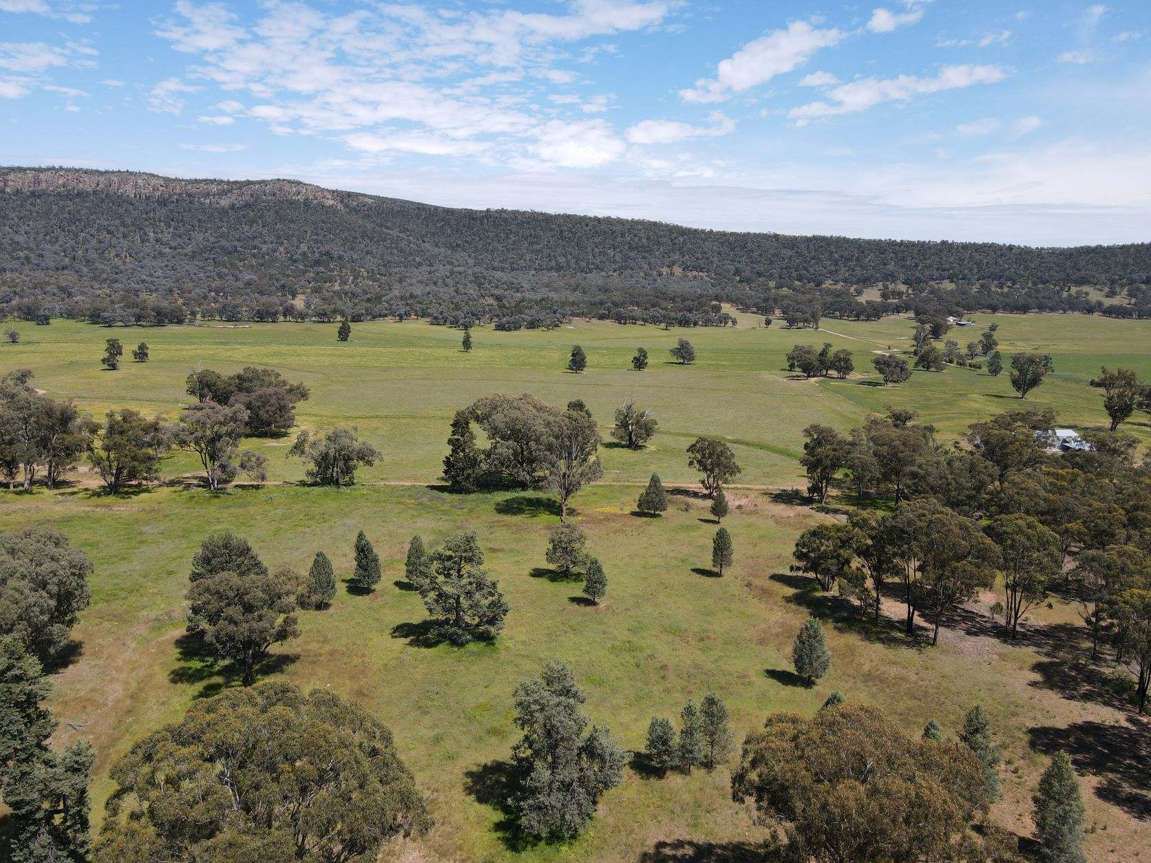 "Nangar Valley" 223 Rodwells Road, Murga For Sale by Farmbuy.com - image 27