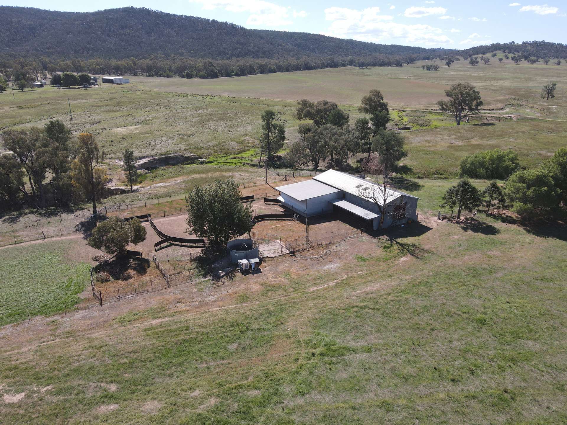 "Babynda" 829 Eulimore Road, Eugowra For Sale by Farmbuy.com - image 5