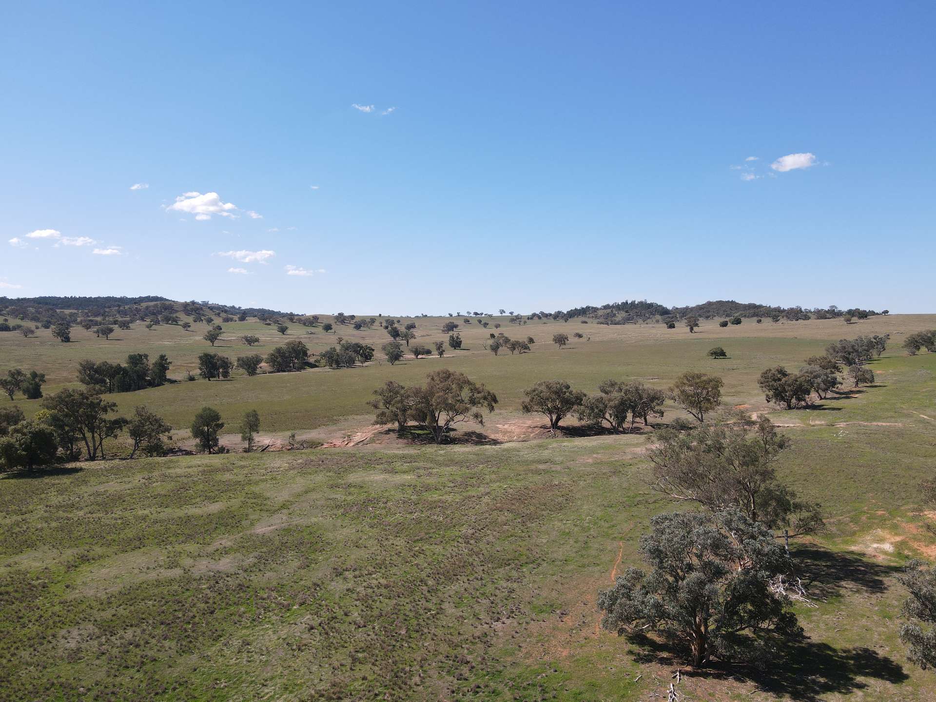 "Babynda" 829 Eulimore Road, Eugowra For Sale by Farmbuy.com - image 19