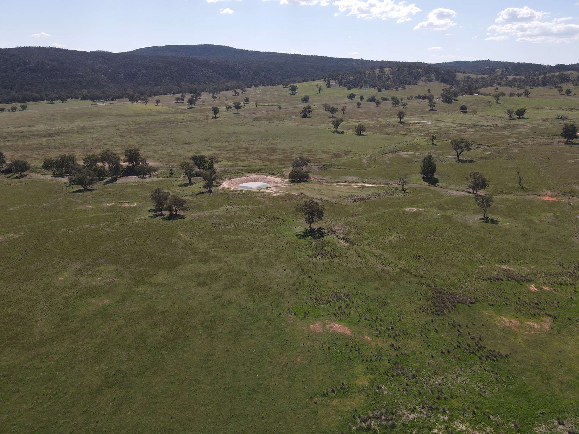 "Babynda" 829 Eulimore Road, Eugowra For Sale by Farmbuy.com - image 13