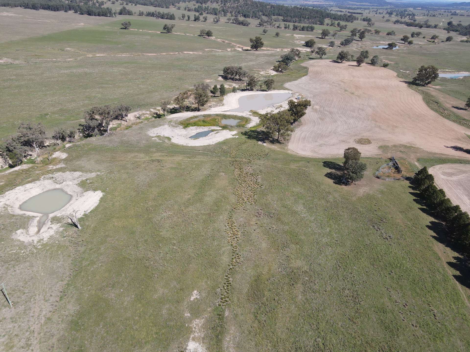 "Babynda" 829 Eulimore Road, Eugowra For Sale by Farmbuy.com - image 11