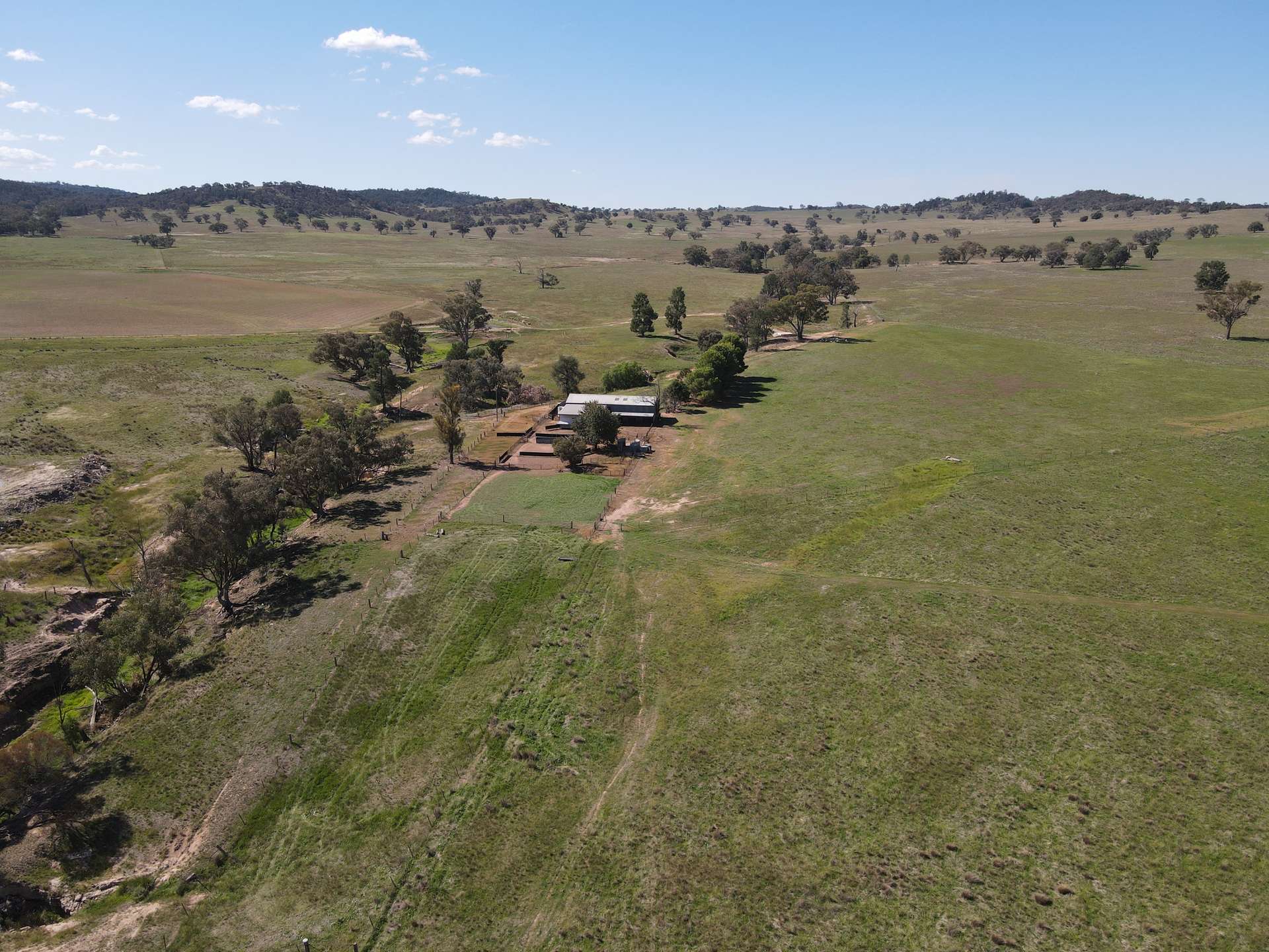 "Babynda" 829 Eulimore Road, Eugowra For Sale by Farmbuy.com - image 20