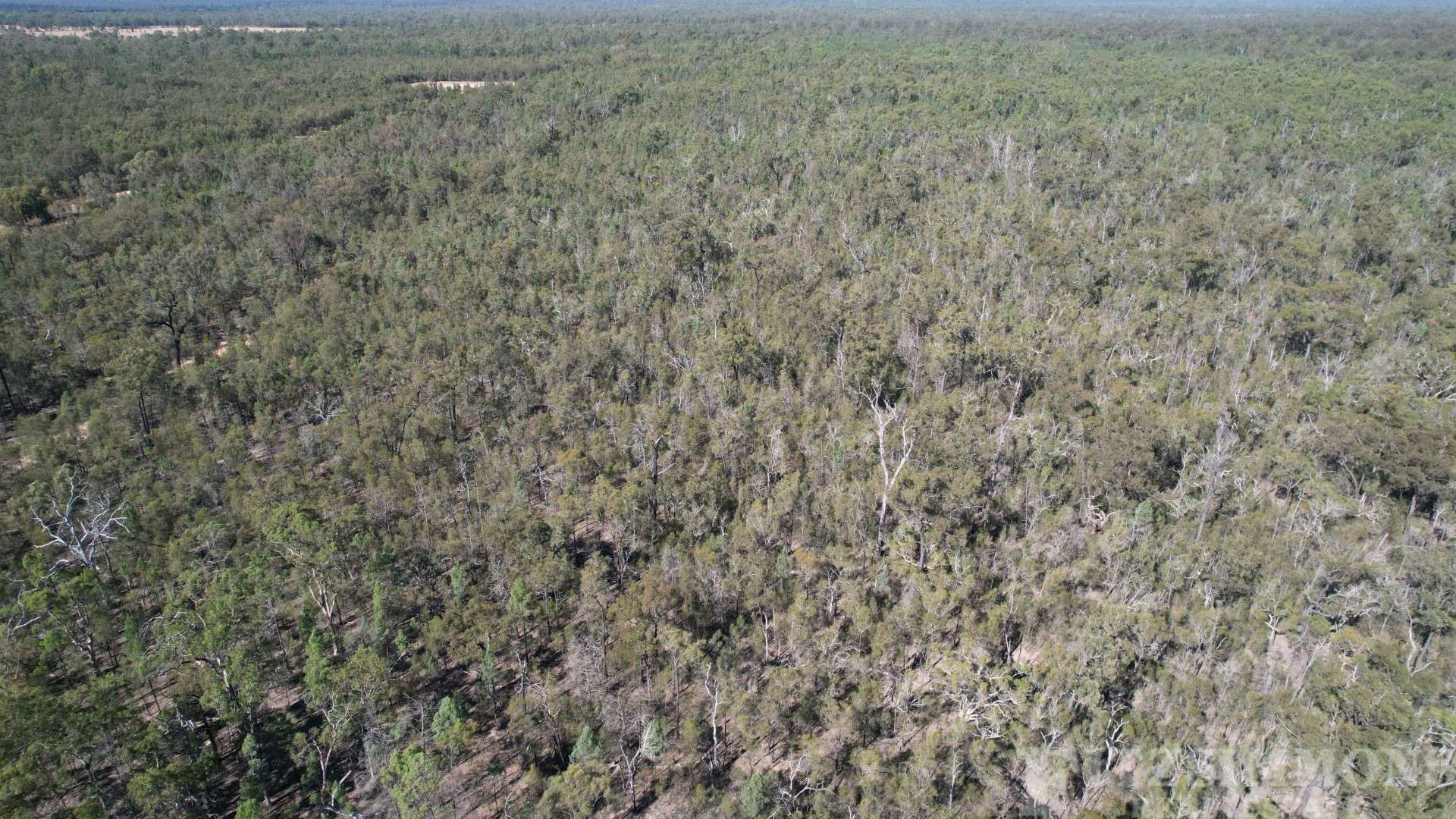 Lot 25,  Bulloak Drive, Dalby For Sale by Farmbuy.com - image 13