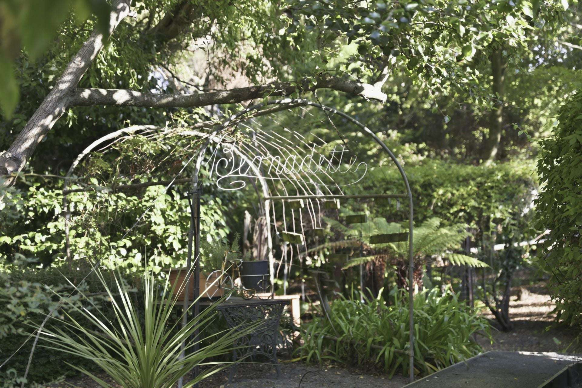 15 & 16 LAGOON BEACH ROAD, Low Head For Sale by Farmbuy.com - image 14