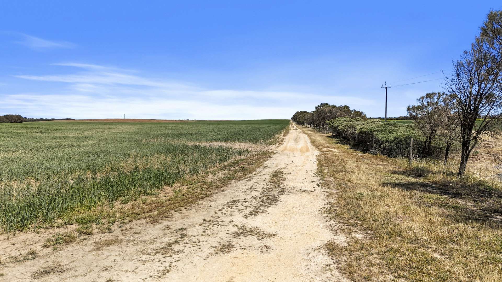 Lot 1 Tolderol Road, Langhorne Creek For Sale by Farmbuy.com - image 14