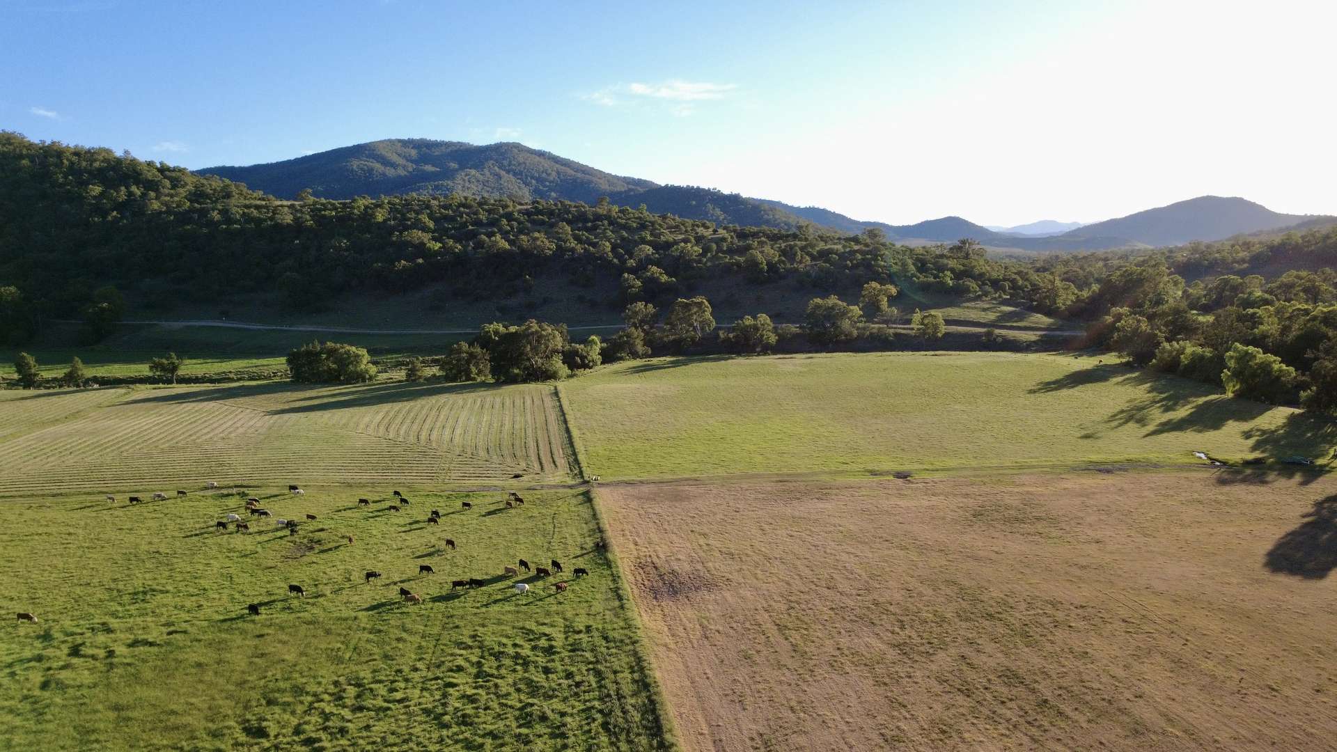 "Gap View" Wells Gully Road, Muswellbrook For Sale by Farmbuy.com - image 33