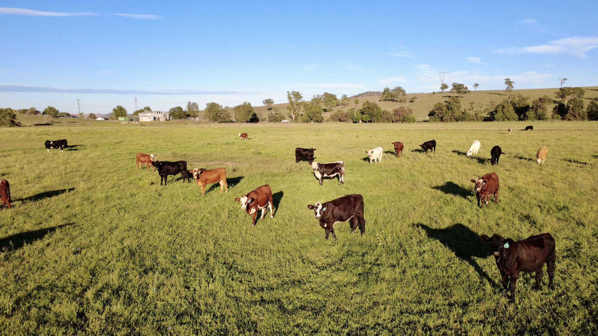 "Gap View" Wells Gully Road, Muswellbrook For Sale by Farmbuy.com - image 35