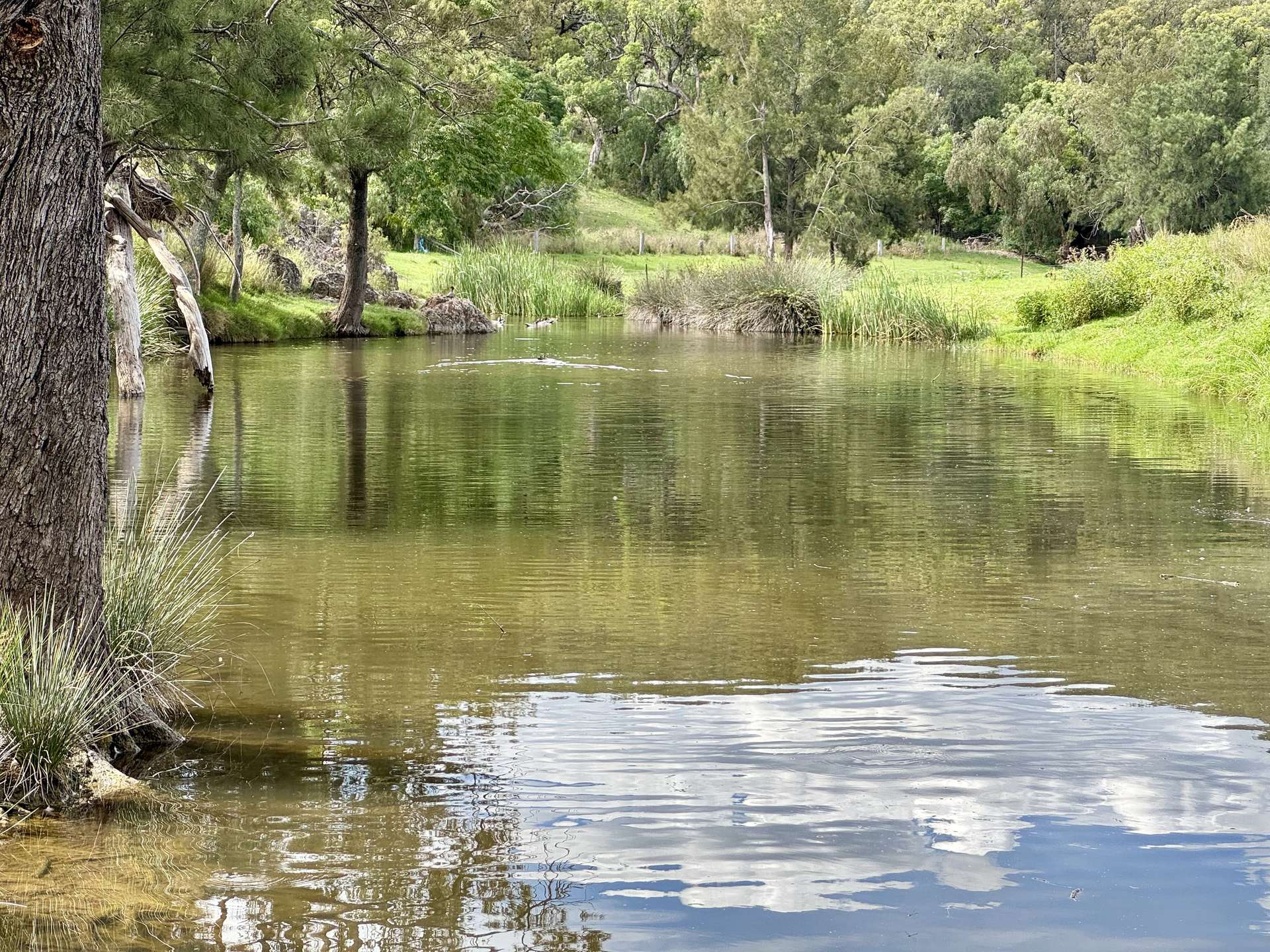 "Gap View" Wells Gully Road, Muswellbrook For Sale by Farmbuy.com - image 26