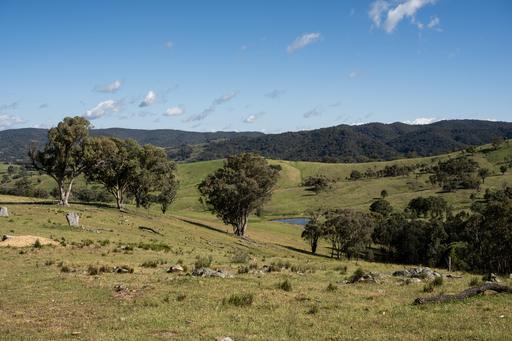 1883 Queens Pinch Road, Mudgee NSW 2850