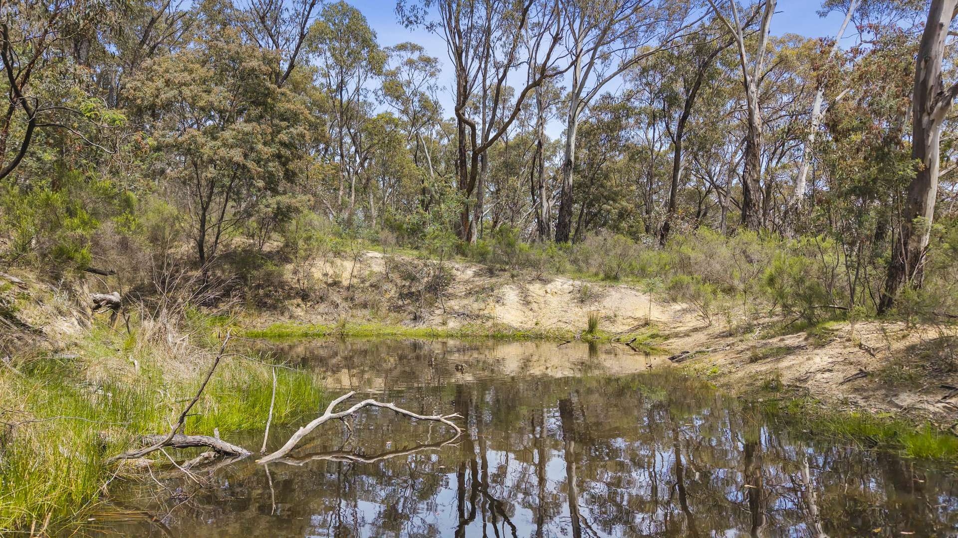 288 Mount Haven Way, Meadow Flat For Sale by Farmbuy.com - image 16