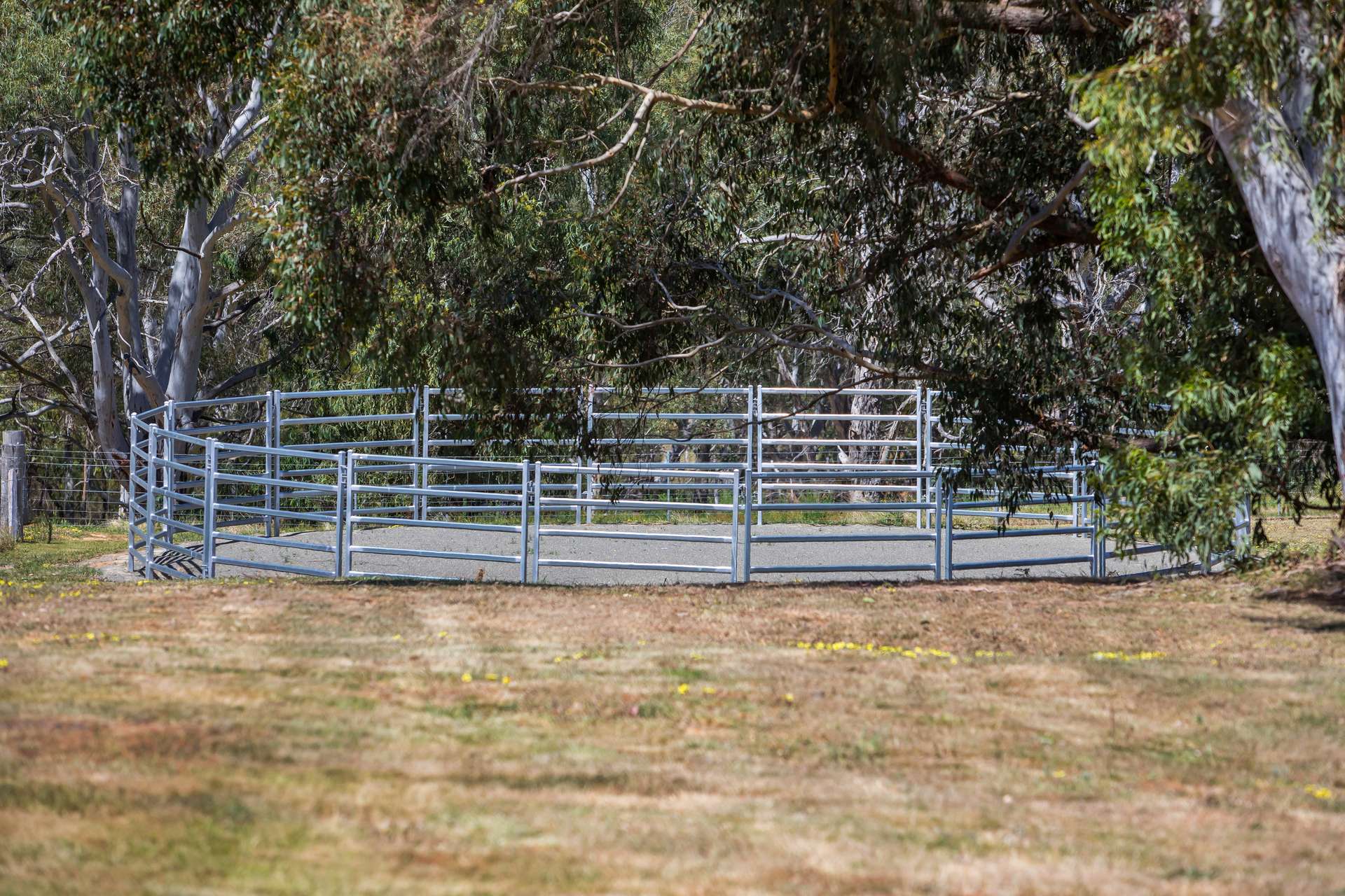 273 Tugalong Road, Canyonleigh For Sale by Farmbuy.com - image 20