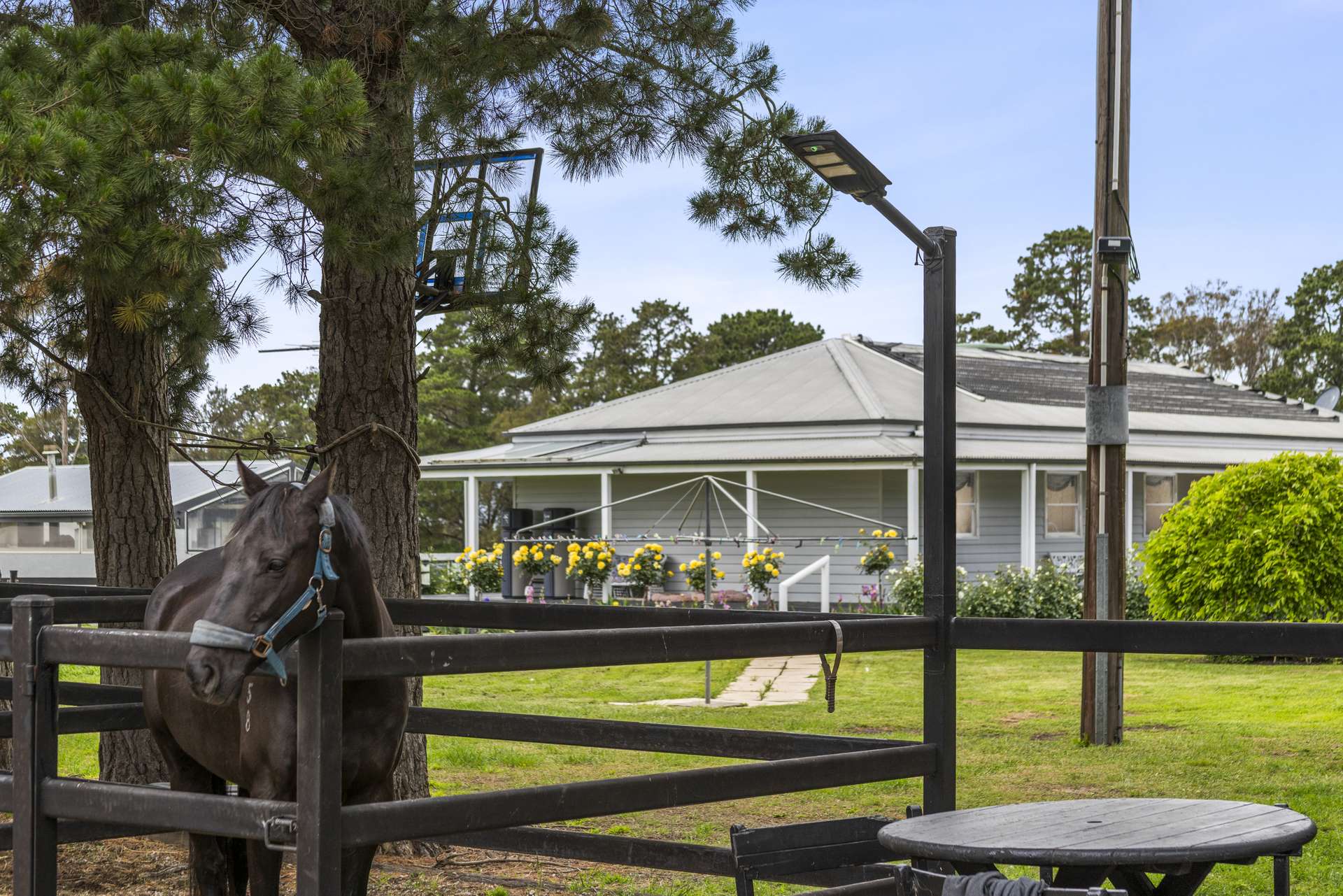 2249 Midland Highway, Bannockburn For Sale by Farmbuy.com - image 9