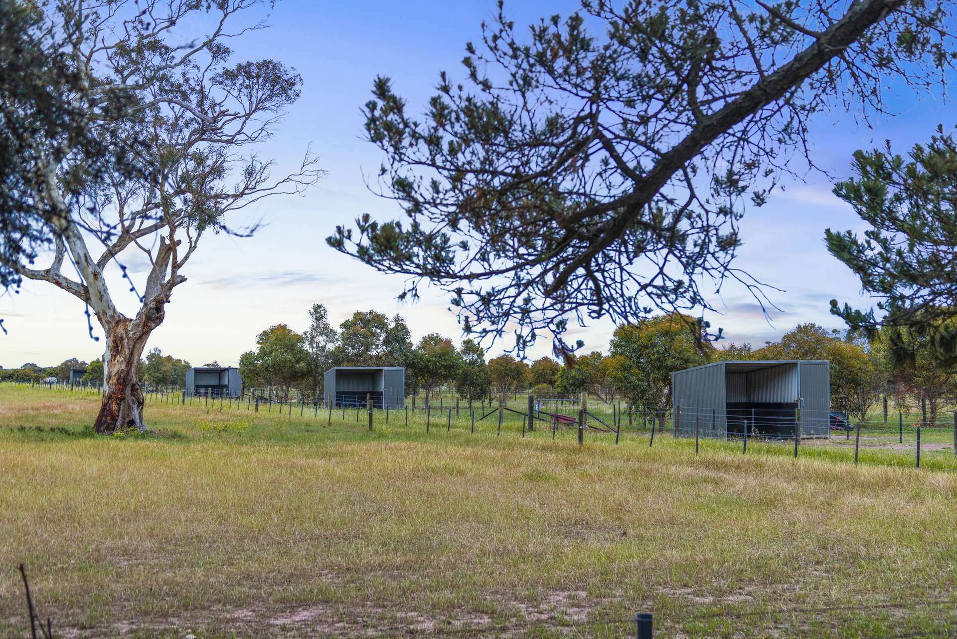 2249 Midland Highway, Bannockburn For Sale by Farmbuy.com - image 35