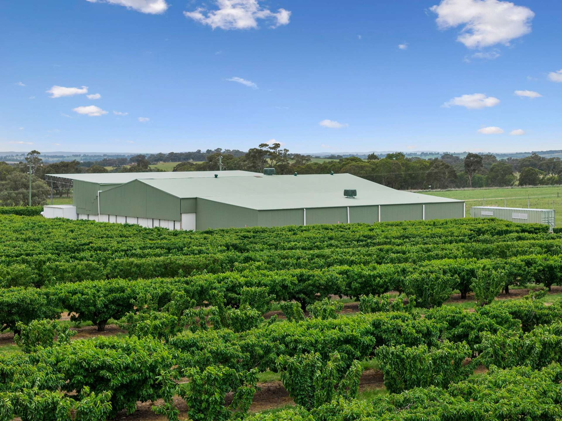 3129 Olympic Highway, Young For Sale by Farmbuy.com - image 3