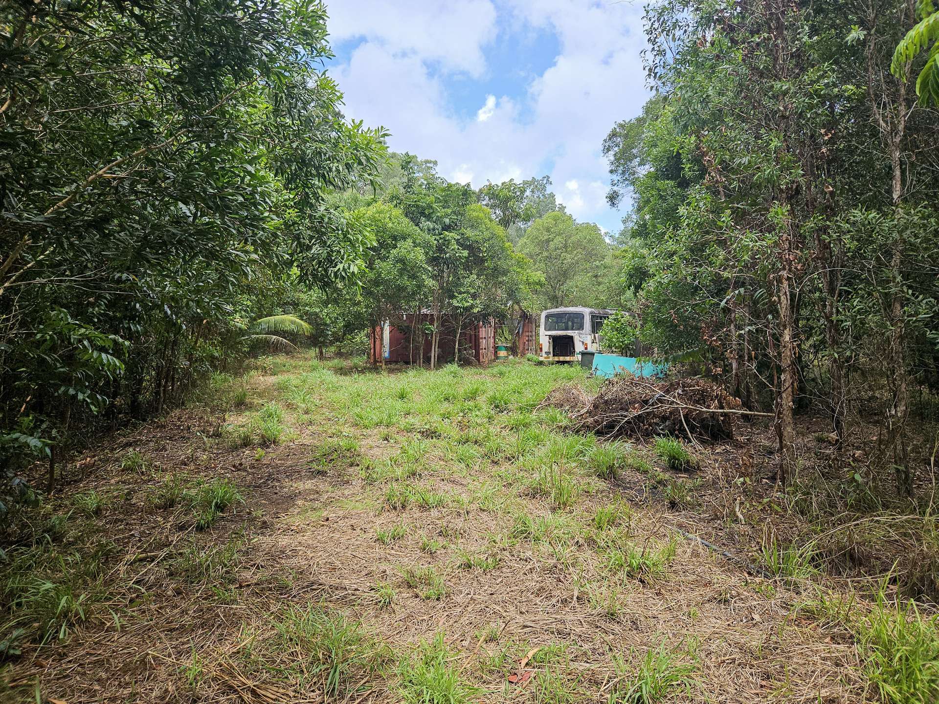 2401 Rossville Bloomfield Road, Bloomfield For Sale by Farmbuy.com - image 6