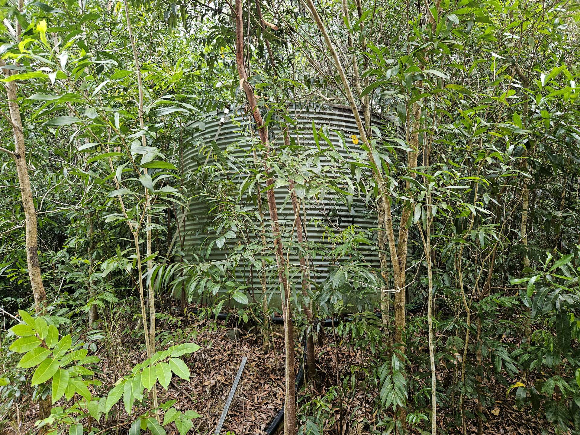 2401 Rossville Bloomfield Road, Bloomfield For Sale by Farmbuy.com - image 7