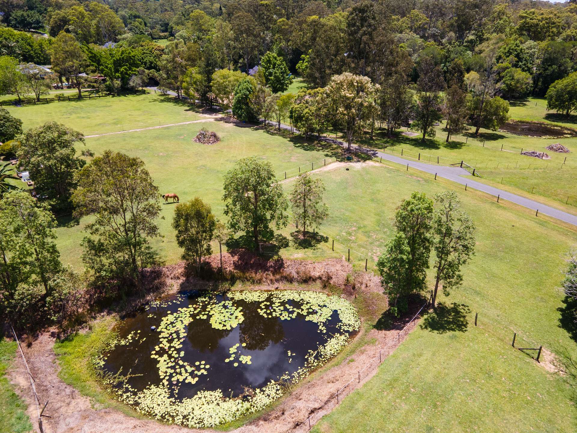 35 Lawnville Road, Cooroy For Sale by Farmbuy.com - image 34