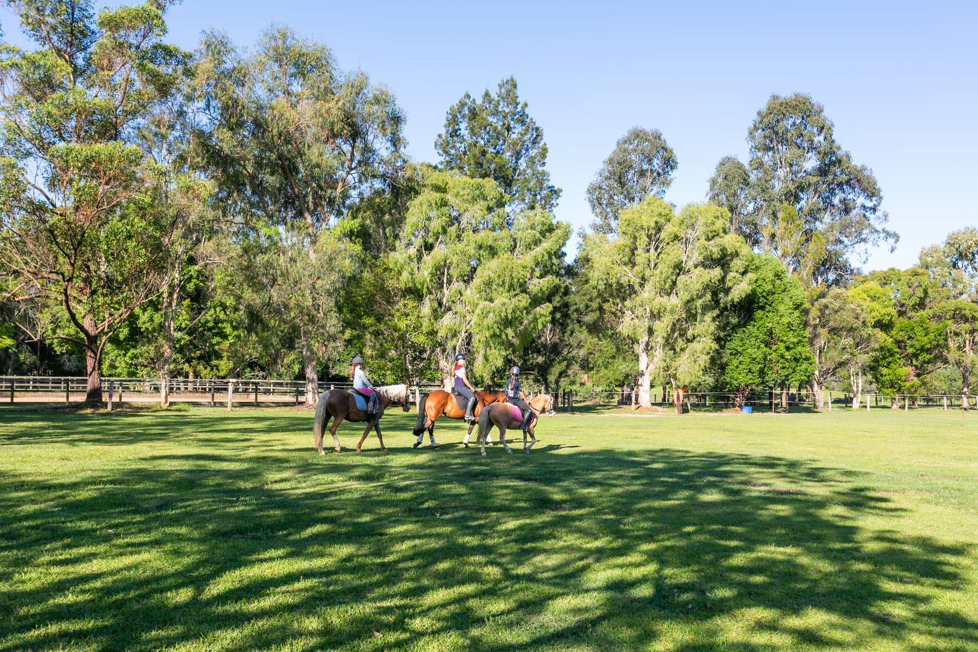 35 Lawnville Road, Cooroy For Sale by Farmbuy.com - image 23