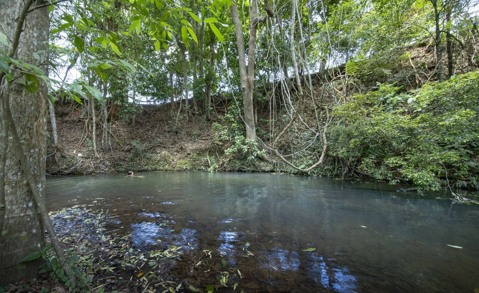 829 The Pocket Rd, The Pocket For Sale by Farmbuy.com - image 23