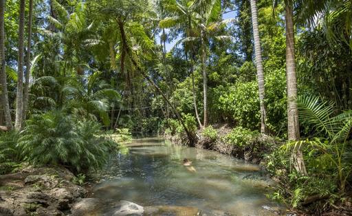 829 The Pocket Rd, The Pocket NSW 2483