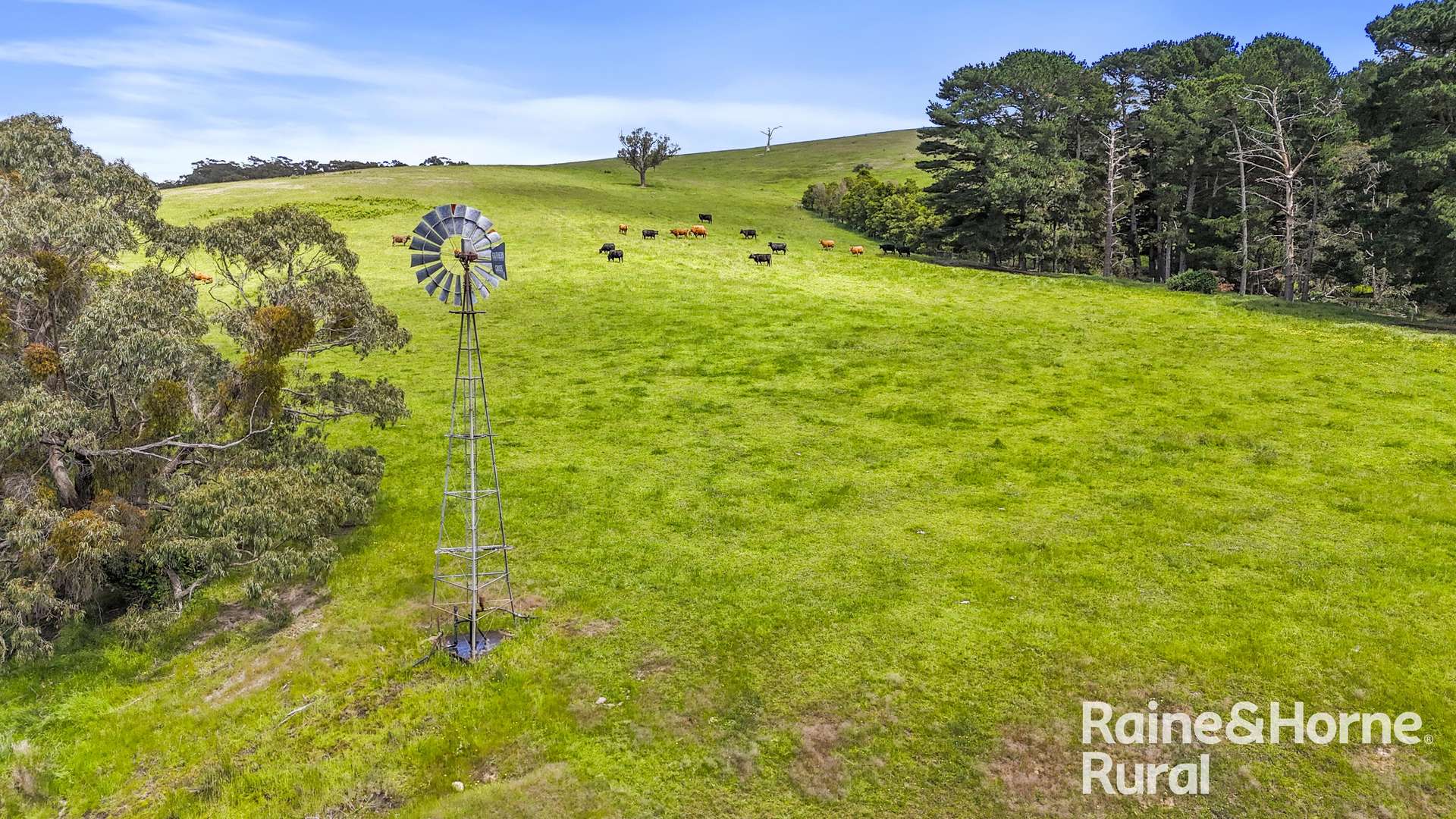 83 Cressbrook Road, Hindmarsh Valley For Sale by Farmbuy.com - image 32