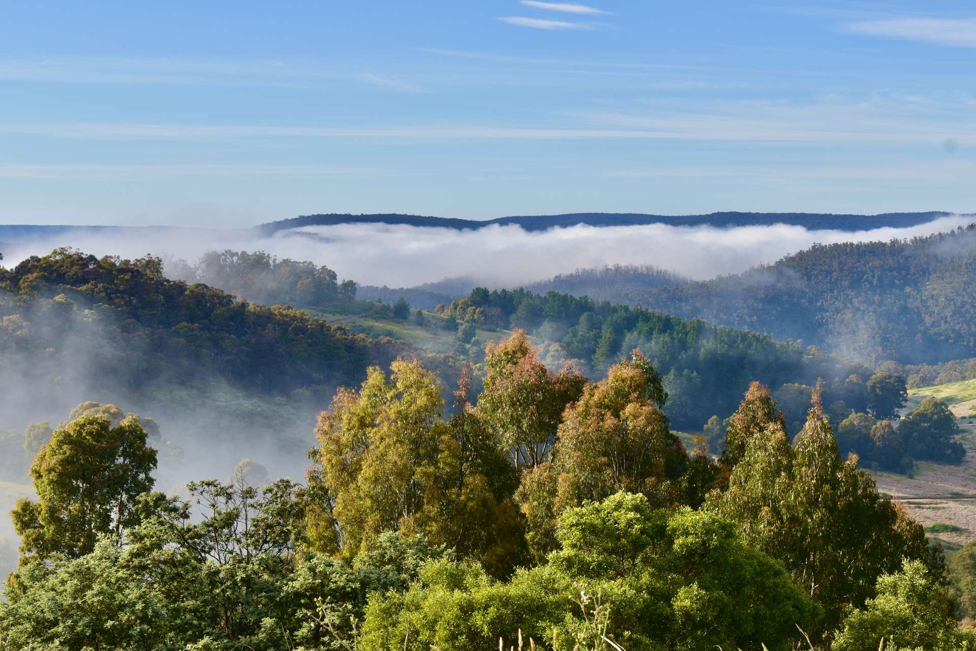 363 Sheepstation Forest Road, Gingkin For Sale by Farmbuy.com - image 20