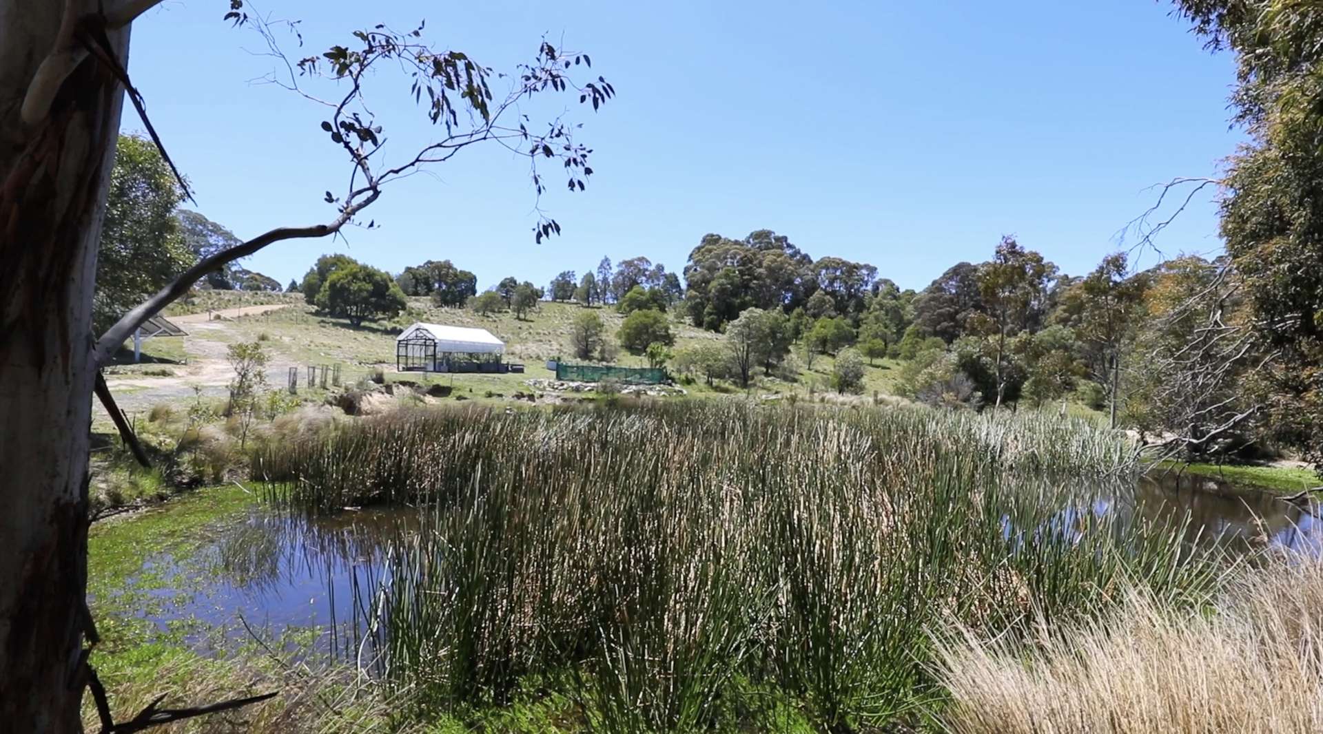 363 Sheepstation Forest Road, Gingkin For Sale by Farmbuy.com - image 11