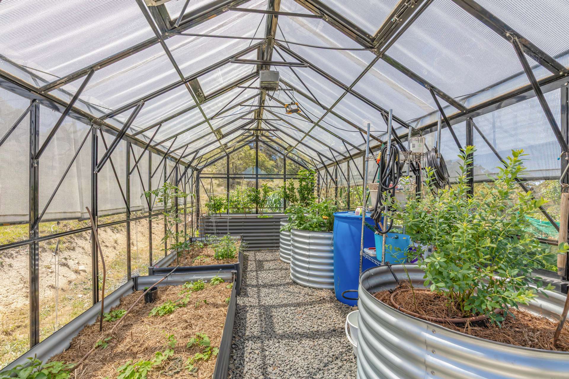 363 Sheepstation Forest Road, Gingkin For Sale by Farmbuy.com - image 12