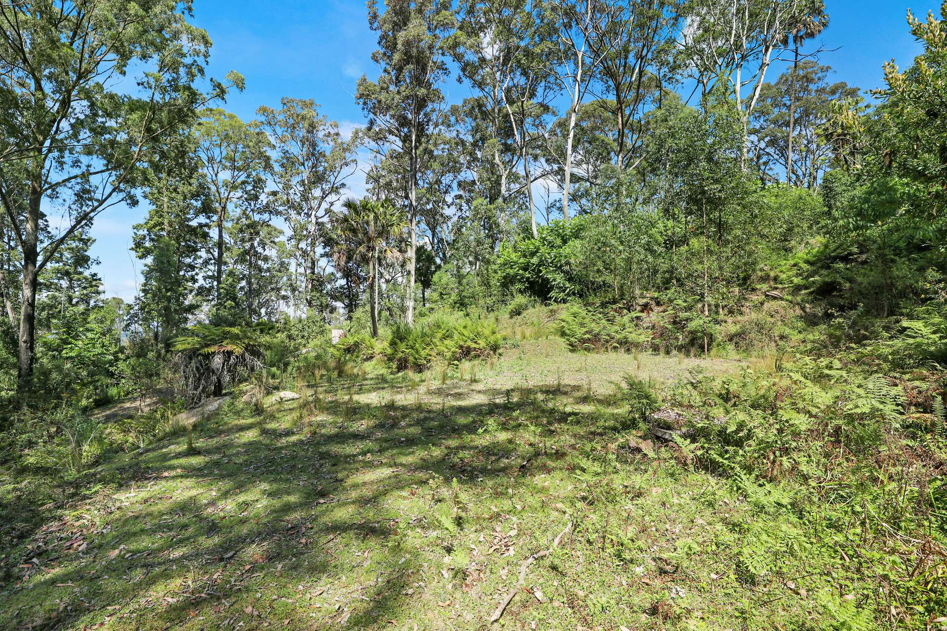 826 Mount Scanzi Road, Kangaroo Valley For Sale by Farmbuy.com - image 5