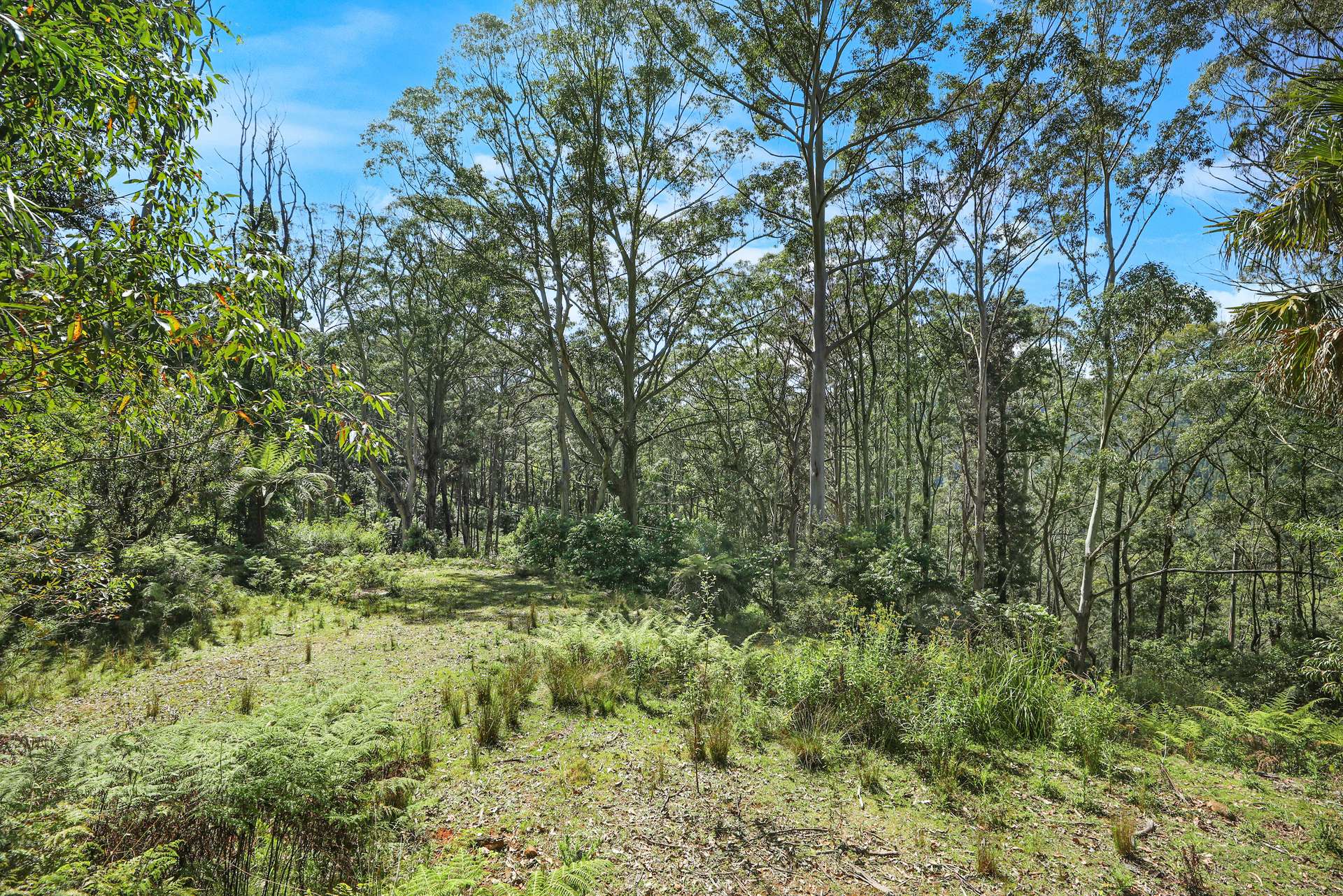 826 Mount Scanzi Road, Kangaroo Valley For Sale by Farmbuy.com - image 6