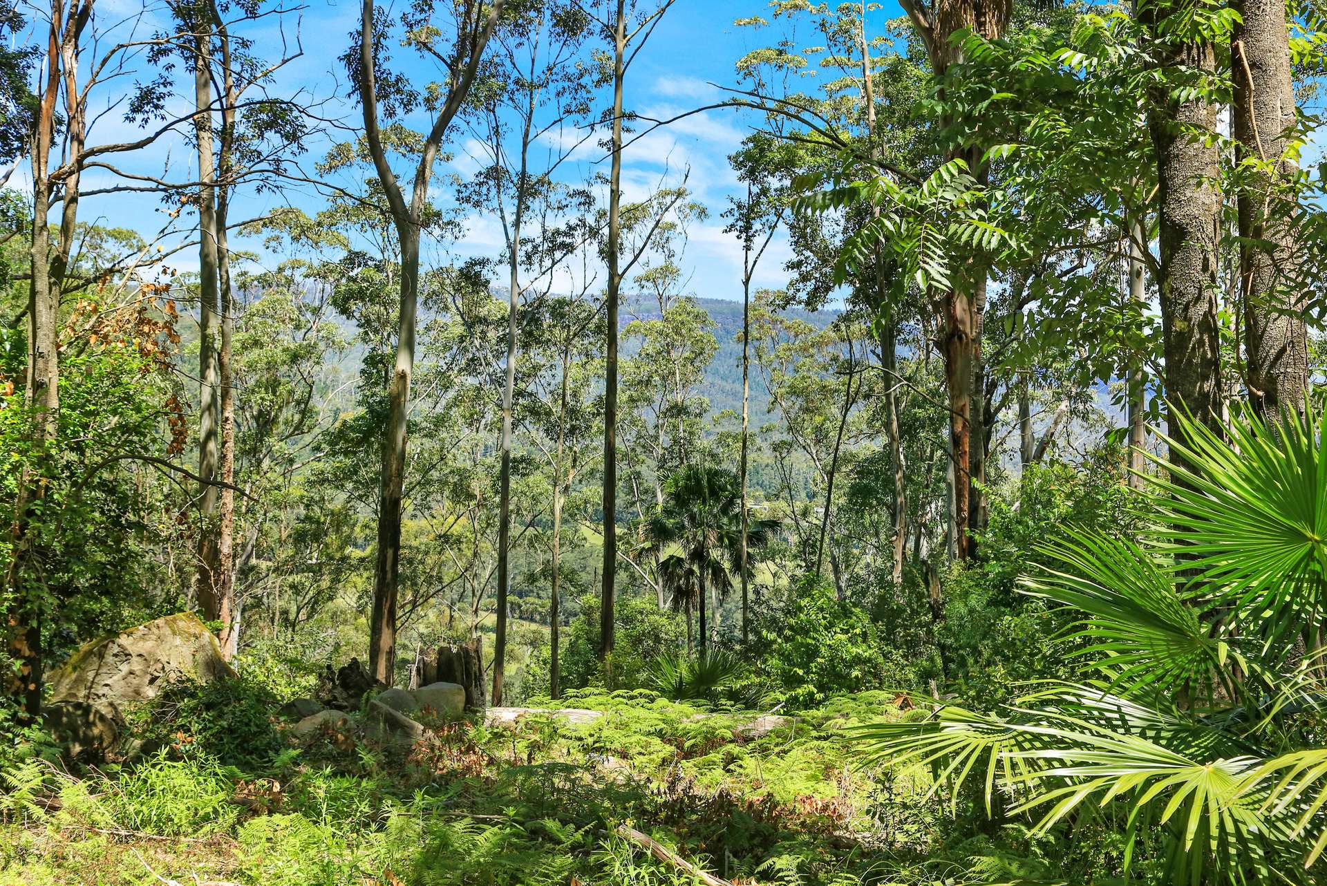 826 Mount Scanzi Road, Kangaroo Valley For Sale by Farmbuy.com - image 10