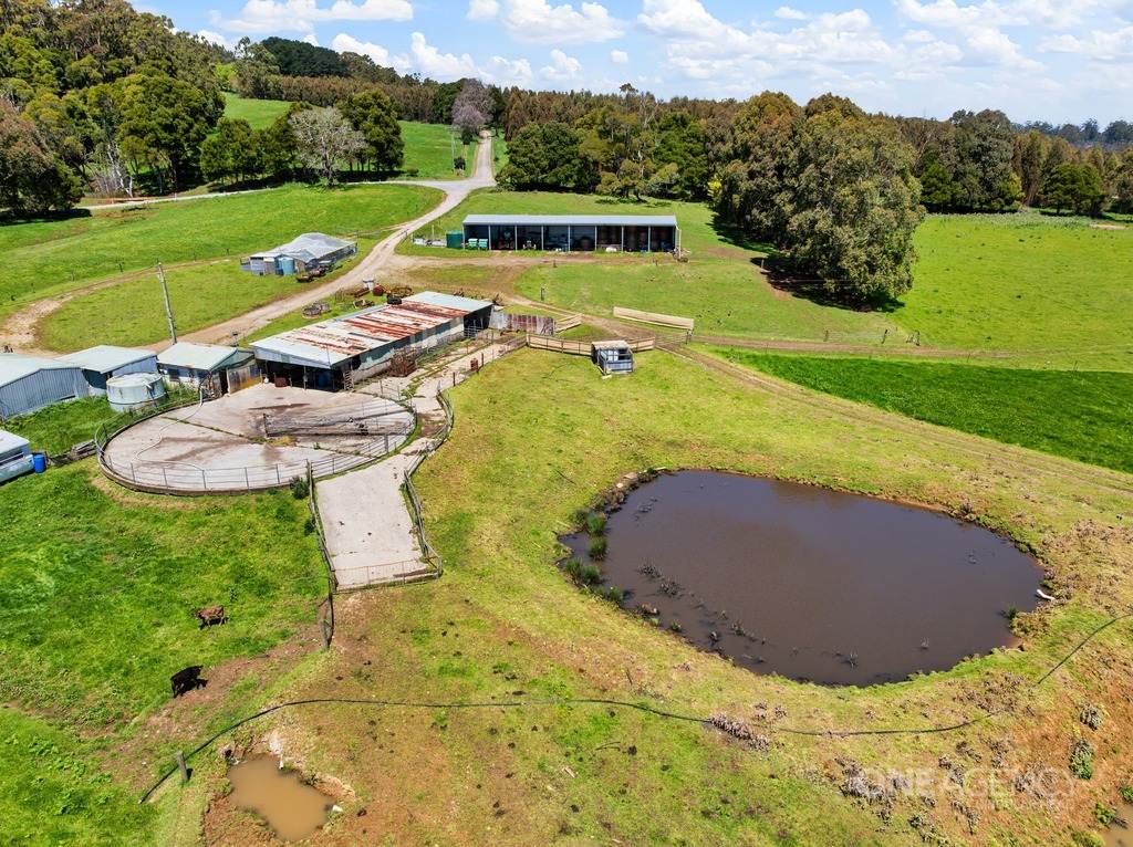 108 Mclachlans Road, Irishtown For Sale by Farmbuy.com - image 22