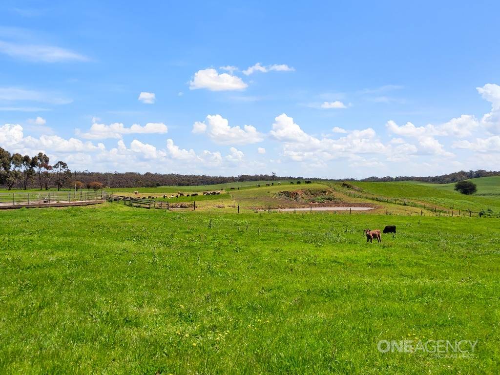 108 Mclachlans Road, Irishtown For Sale by Farmbuy.com - image 27