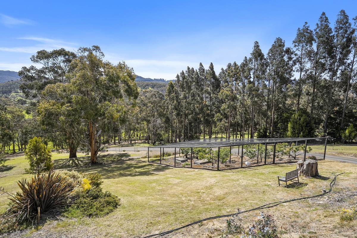 41 Hickmans Road, Margate For Sale by Farmbuy.com - image 24