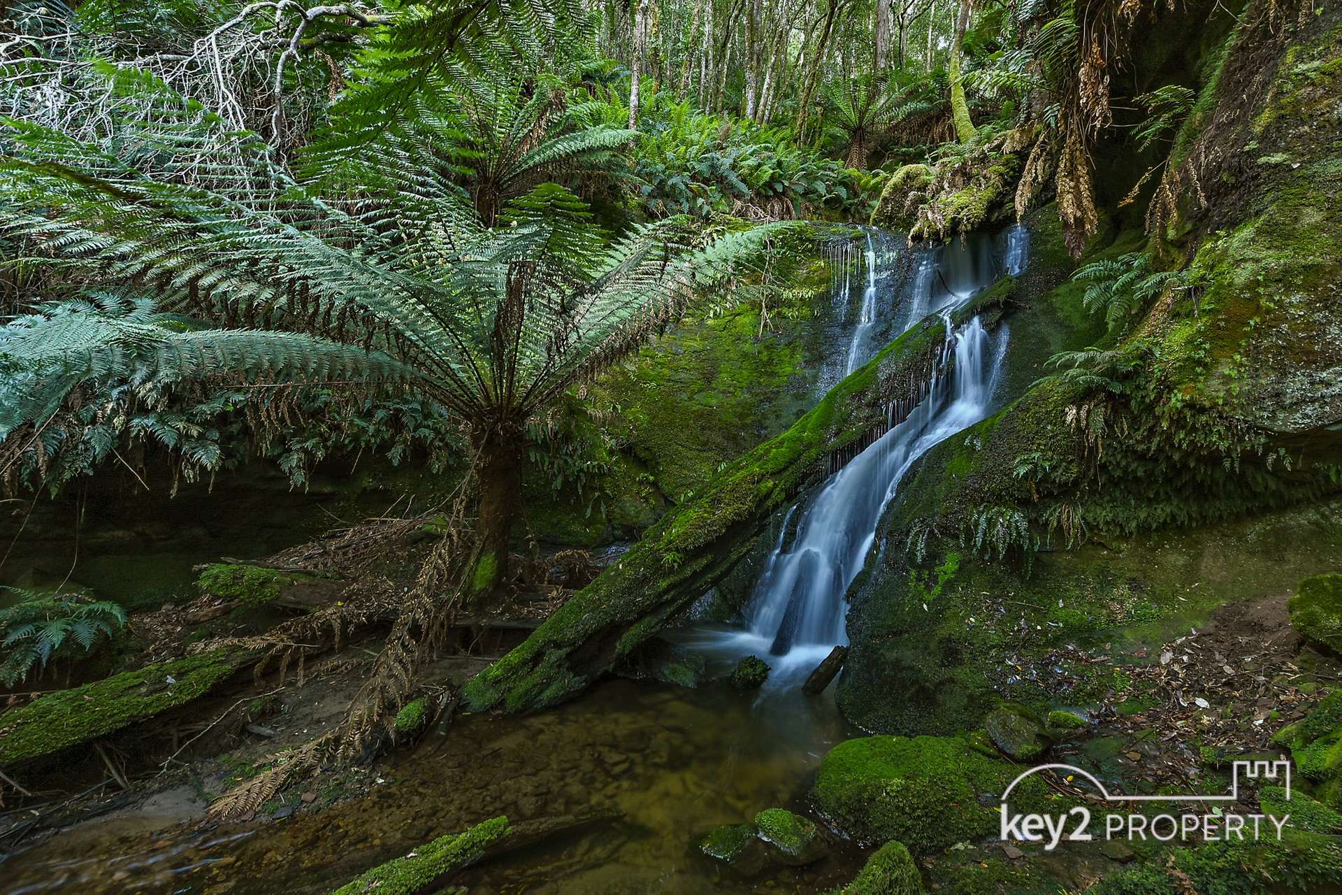 160 Gulf Road, Liffey For Sale by Farmbuy.com - image 27