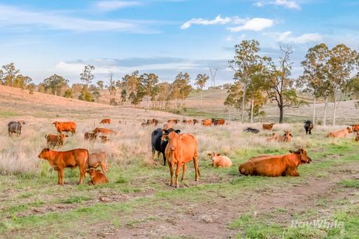 595 Walla Road, Morganville QLD 4671