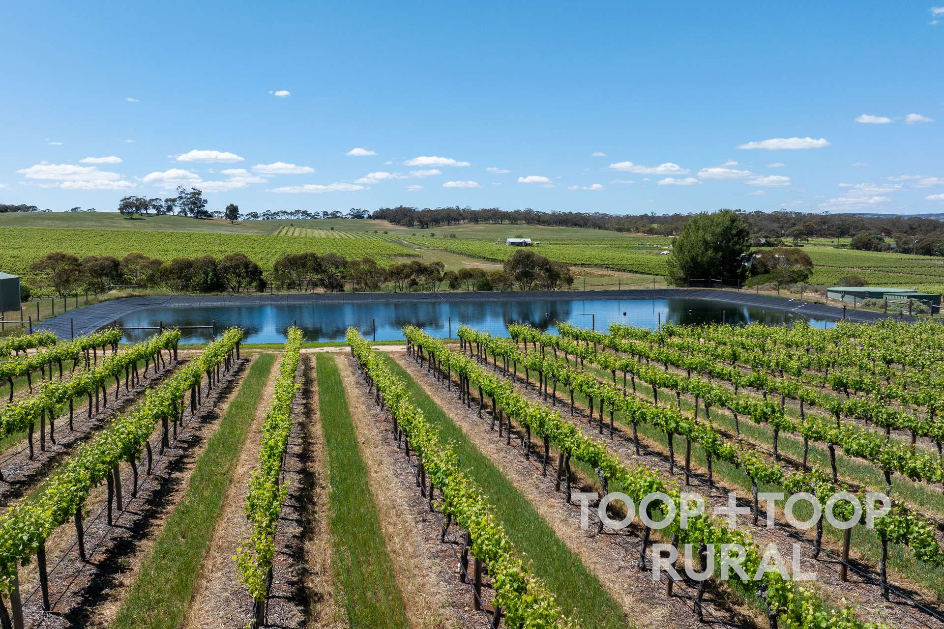 303 Stonewell Road, Stone Well For Sale by Farmbuy.com - image 28