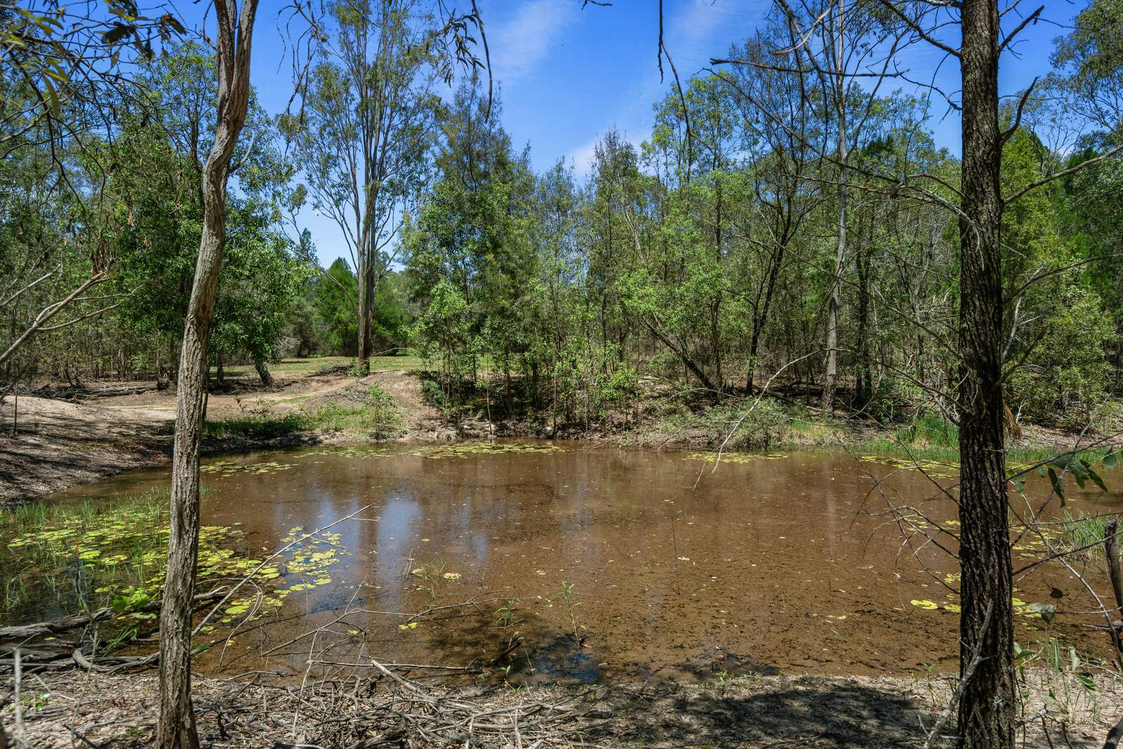 2306 Gatton Esk Road, Buaraba For Sale by Farmbuy.com - image 16