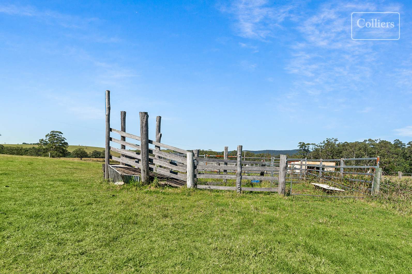 227-229 Little Forest, Little Forest For Sale by Farmbuy.com - image 8