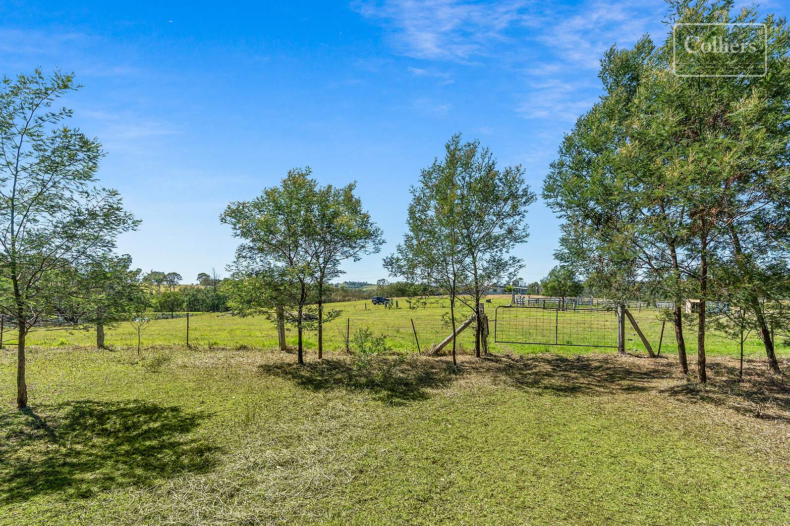 227-229 Little Forest, Little Forest For Sale by Farmbuy.com - image 11