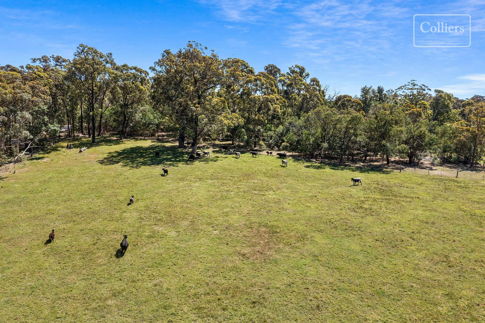 227-229 Little Forest, Little Forest For Sale by Farmbuy.com - image 20