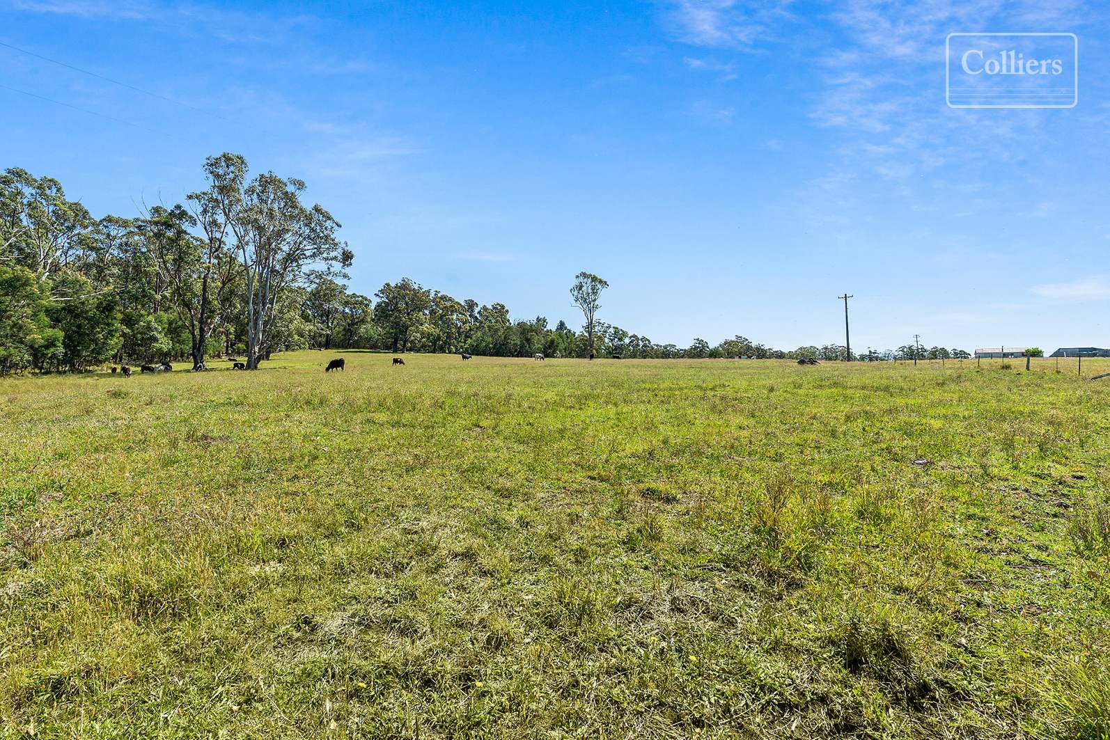 227-229 Little Forest, Little Forest For Sale by Farmbuy.com - image 13