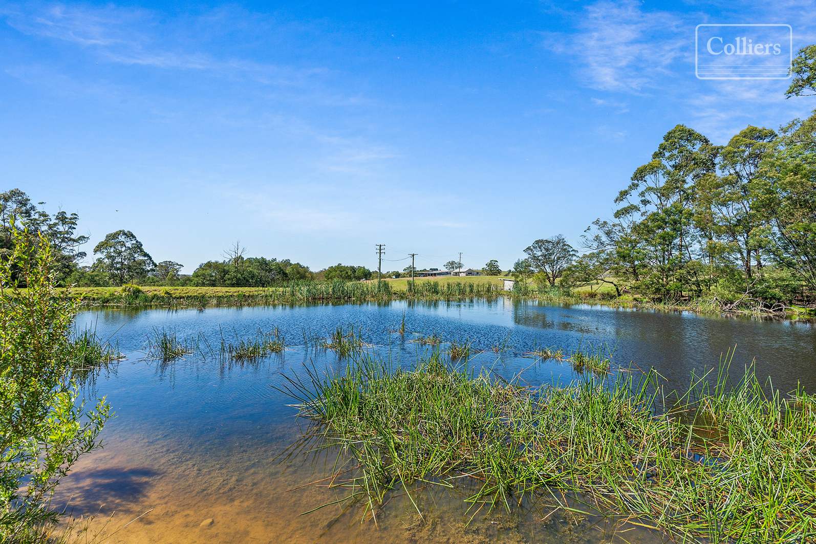 227-229 Little Forest, Little Forest For Sale by Farmbuy.com - image 5