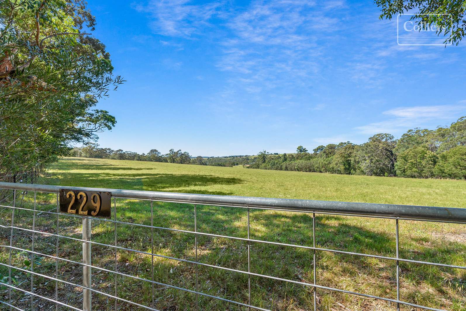 227-229 Little Forest, Little Forest For Sale by Farmbuy.com - image 2