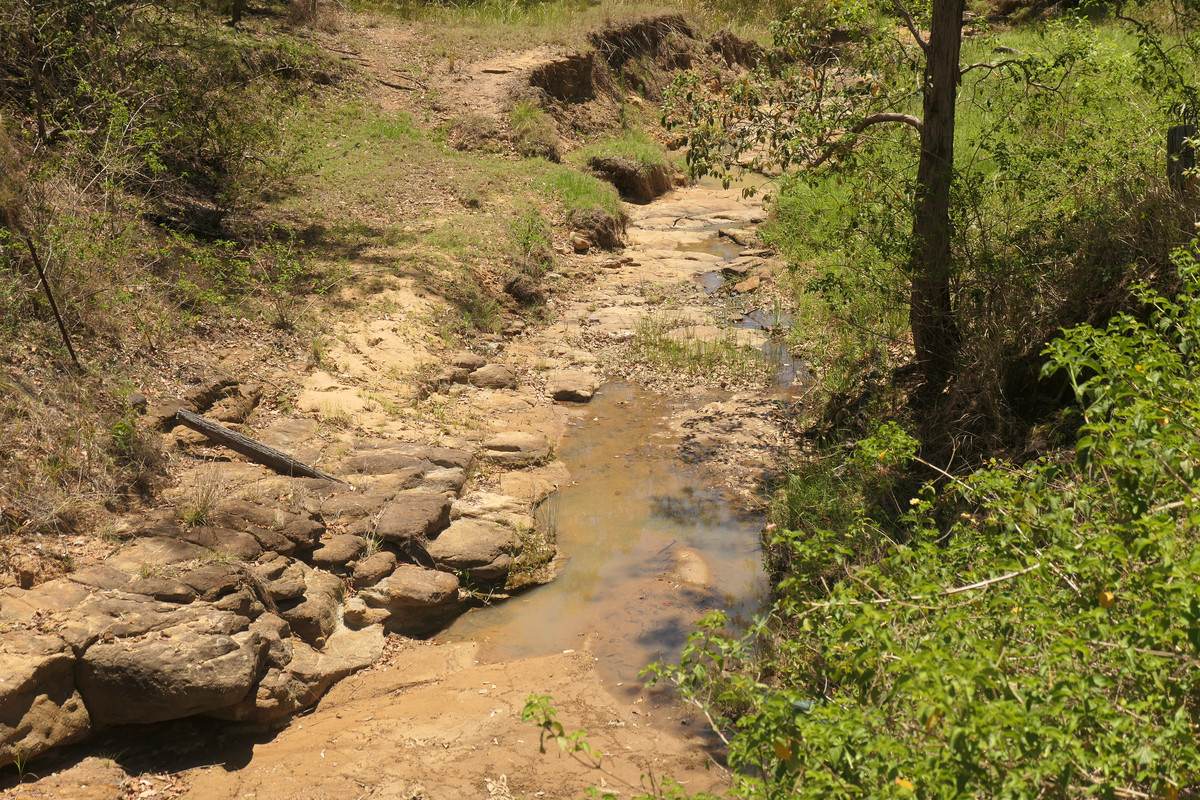 4 Kimbin Pikapene Road, Tabulam For Sale by Farmbuy.com - image 19