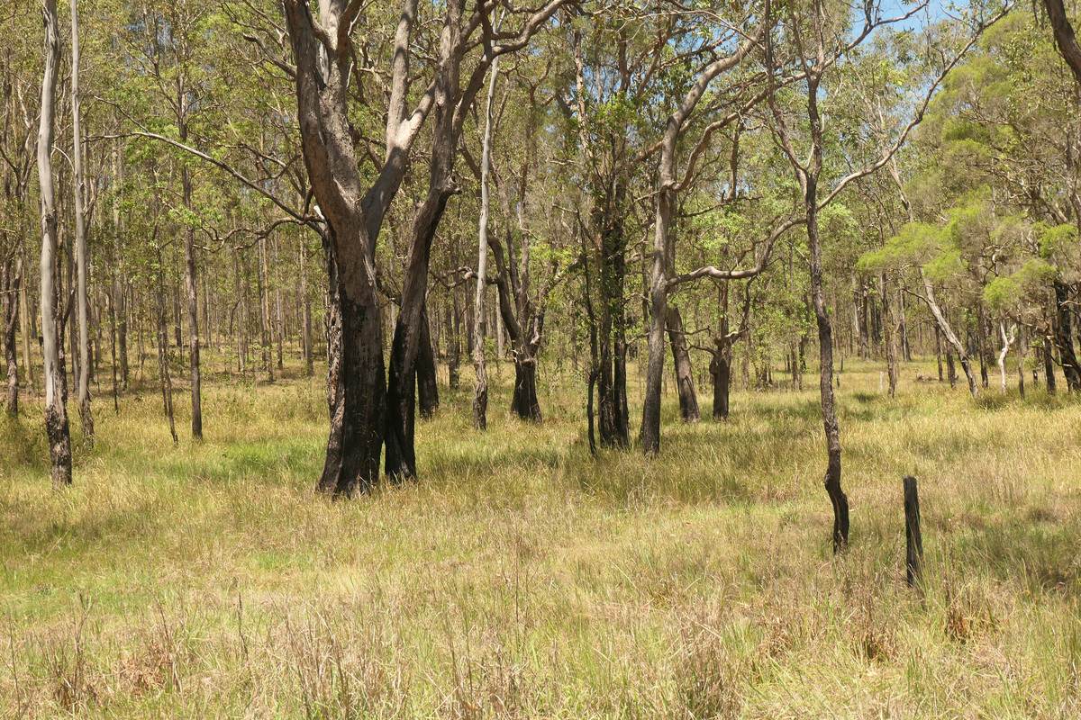 4 Kimbin Pikapene Road, Tabulam For Sale by Farmbuy.com - image 3