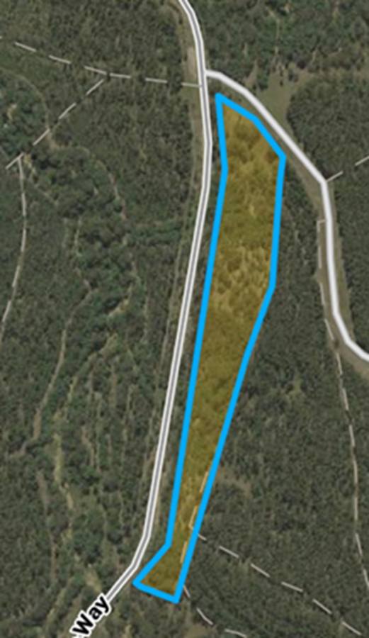 4 Kimbin Pikapene Road, Tabulam For Sale by Farmbuy.com - image 4