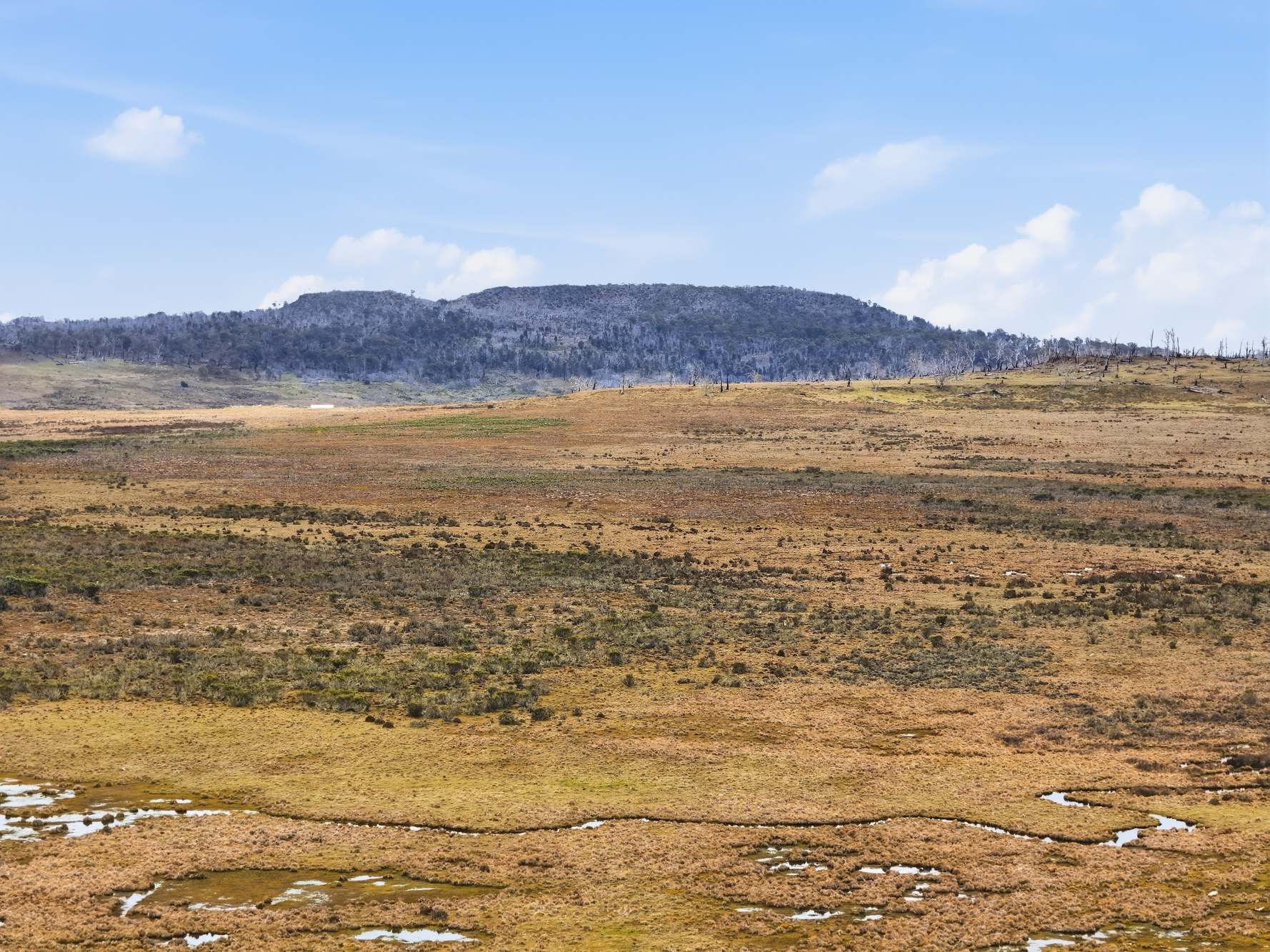2533 Marlborough Road, Little Pine Lagoon For Sale by Farmbuy.com - image 2