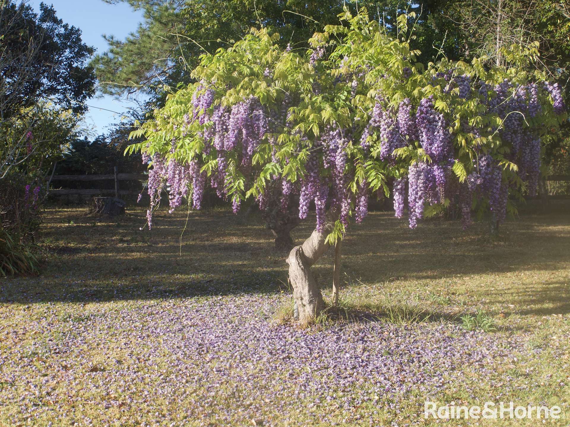 60 Croziers Road, Jaspers Brush For Sale by Farmbuy.com - image 15